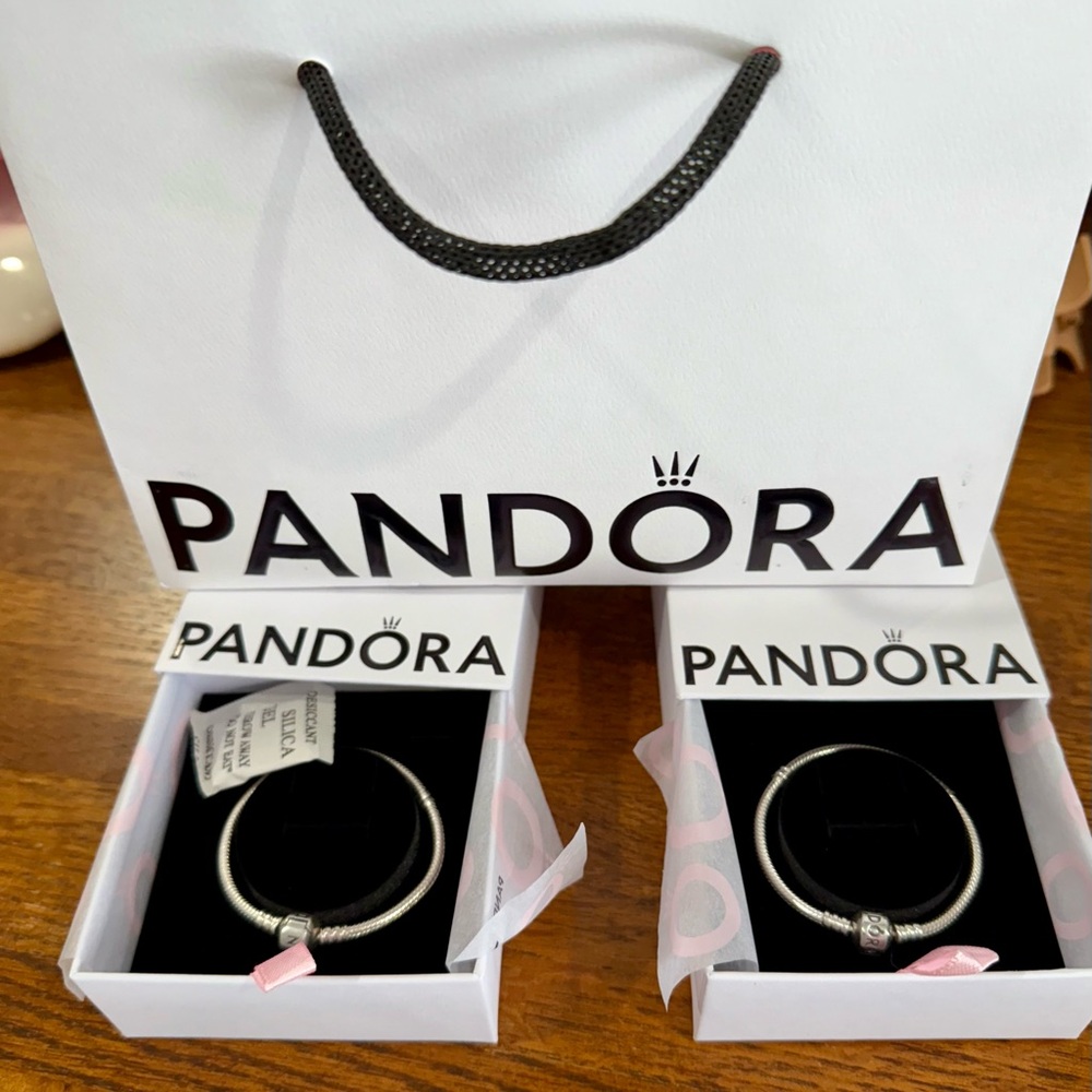 Pandora Silver Charm Bracelets